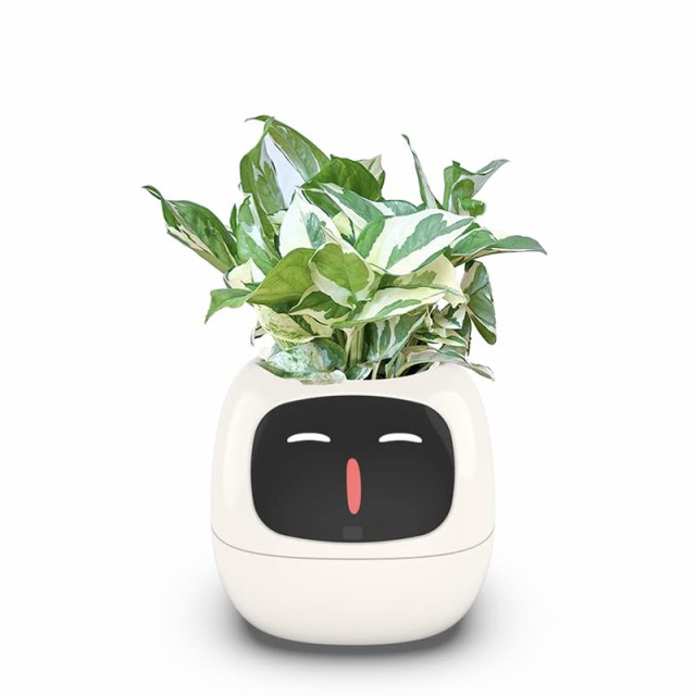 白い Ivyスマートプランター スマートケア＆スマートペット LED画面 スマートホーム機能搭載 観葉植物鉢 ミニ 植木鉢 インテリアグリーン 部屋飾り 小型＆軽量 可愛いおしゃれ 贈り物 日本語取扱説明書【植物付属ありません】 (白い)の通販は