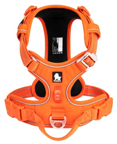 L_オレンジ cocomall 2023最新 犬用ハーネス 犬用胴輪 ドッグ ペット用品 ハーネス 3M反射材料 訓練 ナイロン製 小型犬、中型犬、大型犬に向け 通気性 調節可能 (L， オレンジ)の通販は