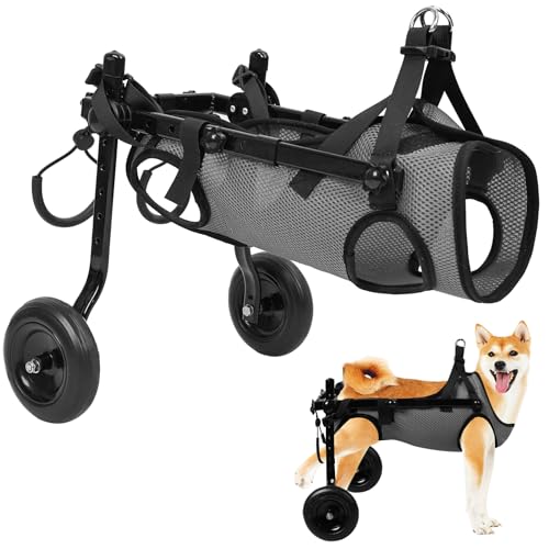 グレー(M) BECEMURU 犬用車椅子 歩行器 歩行補助 軽量 犬介護 補助輪 犬用カート サイズ調整可能 ２輪犬用カーと 犬リハビリ用具 犬ヘルスケア (グレー(M))の通販は