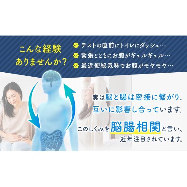 便通改善 乳酸菌 サプリ 腸活 × 睡眠 のWアプローチ 善玉菌 腸内環境 便秘 傾向 宿便はがし 乳酸菌サプリメント 睡眠の質 GABA セロトニン 機能性表示食品 食物繊維 ボラケアバランス with 乳酸菌ラフマα ボラギノールの会社 天藤製薬 60日分（2個セット）_2