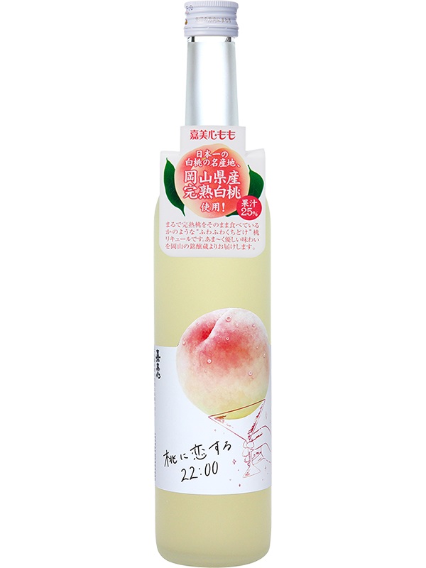 ミズノ　野球スパイク　25.5cm ハンモック チェア カフェ 室内 スタンド 自立式 バッグ