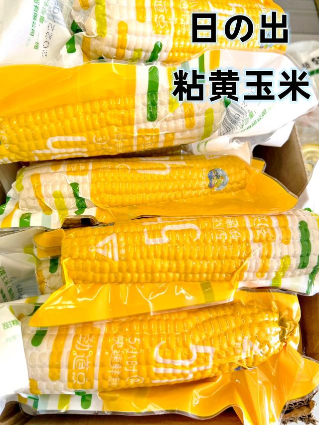 選べる 常温保存 真空 粘玉米 とうもろこし 真空パックコーン