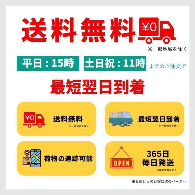 ケアネス テラケア シャンプー トリートメント 本体 2本セット サロン
