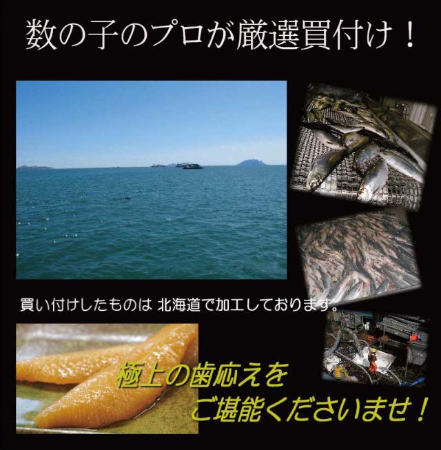 数の子 貨物輸送無料 お歳暮 塩数の子 特大 450g×2個 お歳暮・差し上げ物相応う 別途貨物輸送が湧きおこるする領域あり