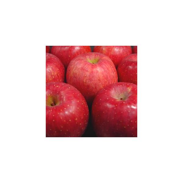 お歳暮 長野県産りんご　特選ふじ　あずさ　大玉６個入り　信州北部のサンふじの名品！　ギフト　発送：１２月上旬〜の通販は 5,257円