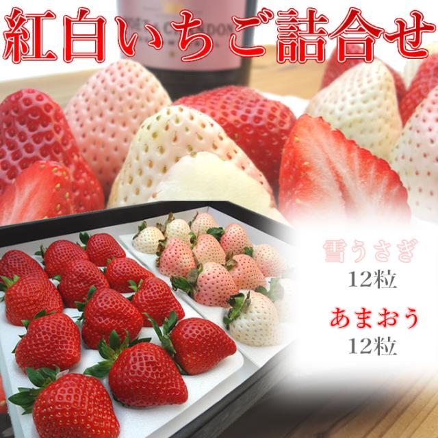 紅白いちご 詰合せ 佐賀県産 白い苺　雪うさぎ 大粒１２入り 福岡県産 いちご あまおう 大粒１２入り イチゴ  バレンタインのギフトにおすすめ  出荷：１２月中旬〜の通販は
