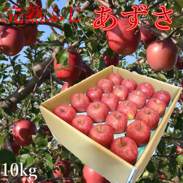お歳暮 長野県産りんご　完熟ふじ　あずさ　10ｋｇ　信州北部のサンふじの名品　ギフト　発送：１２月上旬〜