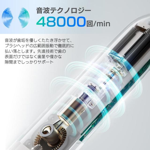 電動歯ブラシ 音波式 歯垢除去 高速振動 IPX7 防水 本体 充電式 口腔洗浄