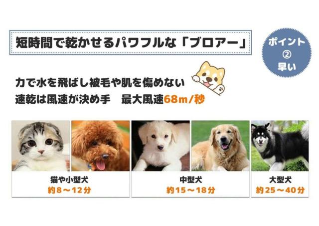 ペットドライヤー ペットヘアードライヤー 温度調節 風量 無段階調節 ペット ドライヤー ヘアドライヤー 乾燥機 業務用 犬 ドライヤー ブロワー 犬 猫 ネコ 猫用 ドライヤー 中型犬 大型犬に最適 家庭用 業務用 バスグッズ お風呂用_4