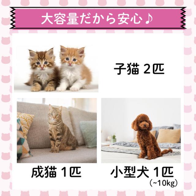 ペットドライヤー ハウス 自動 ペット 乾燥箱 犬 猫 ウサギ フェレット 静音 お手入れ簡単 ハンズフリー ドライヤーボックス 風速 温度調整 ドライヤールーム_5