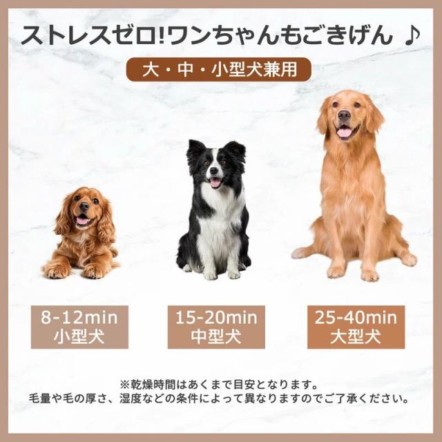 ペット ドライヤー 小型犬 猫 ブロワー ペットドライヤー 犬 中型犬 乾燥機 大風量 ペット用送風機 温度調節 風量調節 速乾 コンパクト 多頭飼い 一体型 多機能 ノズル パワフル フィルター お風呂 シャワー 家庭用 業務用 ヘアドライヤー イヌ ネコ_3