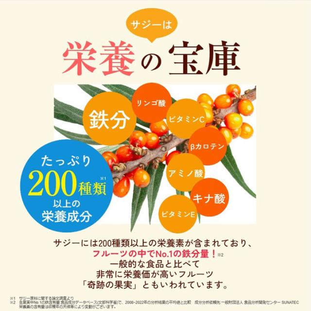 豊潤サジー アプリコットテイスト 1000ml 公式 フィネス（紙