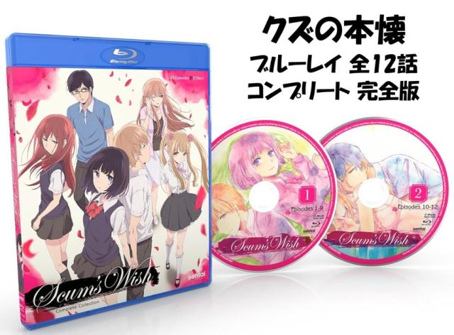 HUNTER × HUNTER キメラアント編 DVD-BOX Vol.4 帯あり DVD HUNTER