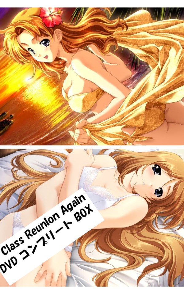 Class Reunion Again DVD 即納 dvd BOX コンプリート Class Reunion Again vol.1 vol.2 セット リージョンフリー 北米版 正規品 同窓会again 完全収録保存版 最新盤 美少女アニメ アニメ region free 日本語 英語 多言語 同窓会 again DVD 2 box set dousoukai-again_6