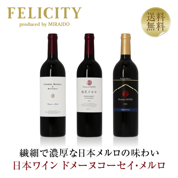 送料無料 赤ワインセット ドメーヌ コーセイ 塩尻・片丘メルロ 3本セット 750ml×3 包装不可 飲み比べ ワインセット