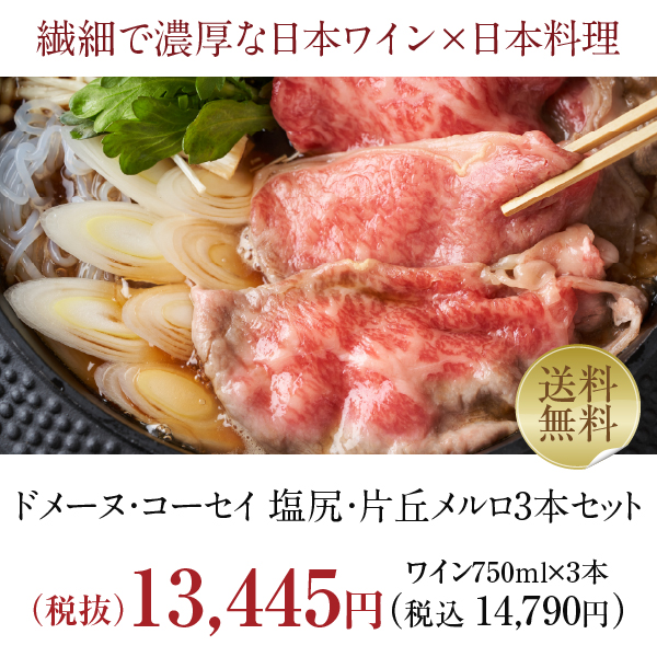 送料無料 赤ワインセット ドメーヌ コーセイ 塩尻・片丘メルロ 3本セット 750ml×3 包装不可 飲み比べ ワインセット