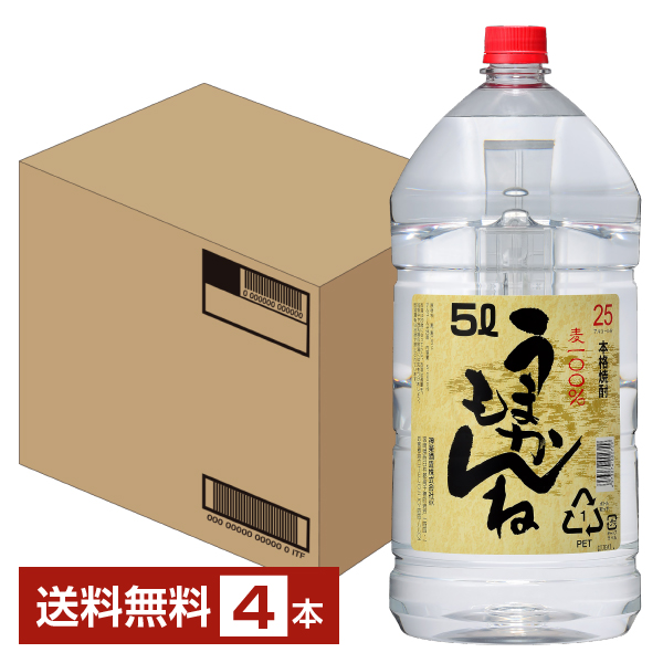 【超激レア】【限定100】本格焼酎 名工 安光 （35° 1.8L） 送料無料 玄海酒造 本格焼酎 むぎ焼酎 壱岐 いき 25度 パック