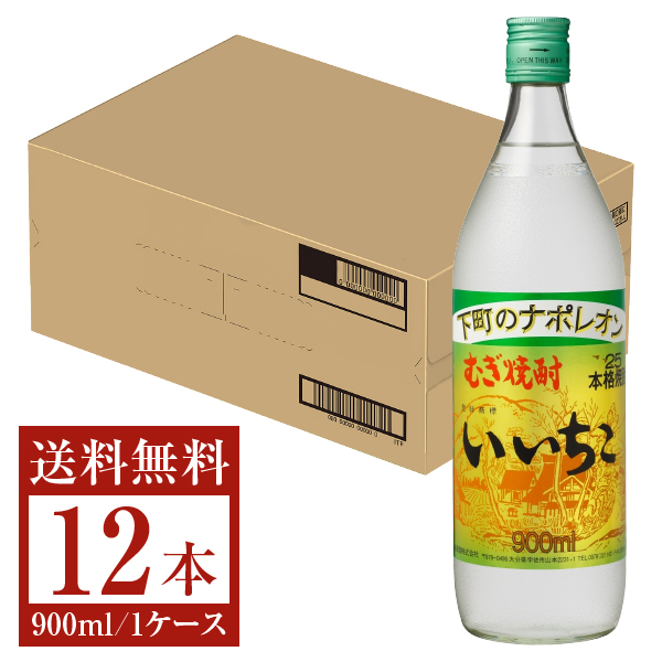 いいちこ 25度 900ml 12本入 （いいちこ 【ケース販売