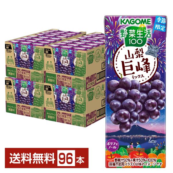 数量限定 野菜生活100 山梨巨峰ミックス カゴメ 195ml 紙パック 24本×4ケース（96本） 送料無料