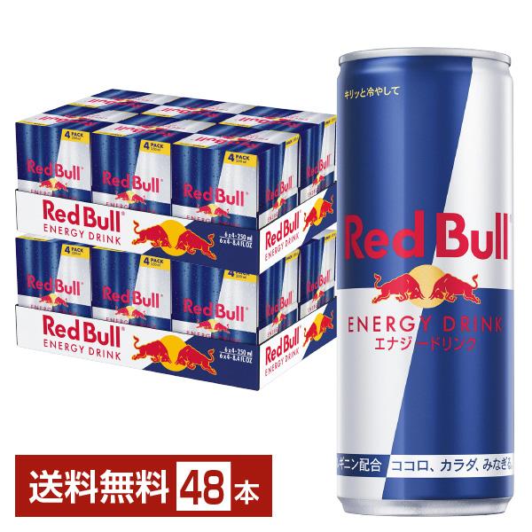 レッドブルジャパン 赤いことブル 活動力ドリンク 250ml 缶 24本×2入れもの（48本） 貨物輸送無料