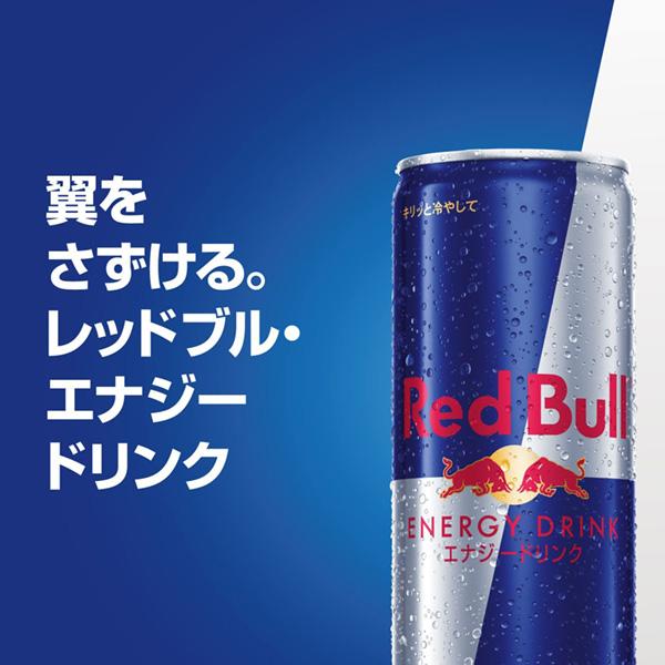 レッドブルジャパン 赤いことブル 活動力ドリンク 250ml 缶 24本×2入れもの（48本） 貨物輸送無料