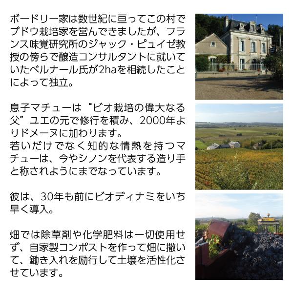 赤ワイン フランス ドメーヌ ベルナール ボードリー シノン ラ クロワ ボワゼ ルージュ 2020 750ml_2