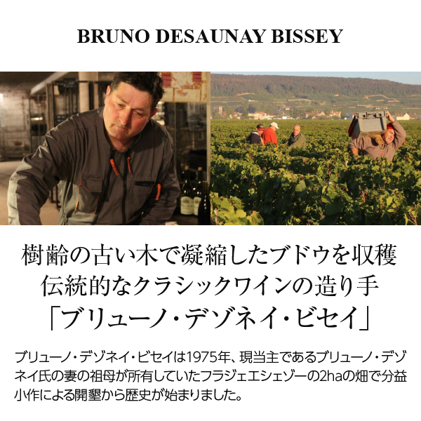 赤ワイン フランス ブリューノ デゾネイ ビセイ ヴォーヌ ロマネ ヴィエイユ ヴィーニュ 2020 750ml_1