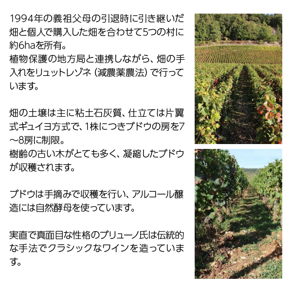 赤ワイン フランス ブルゴーニュ ブリューノ デゾネイ ビセイ ニュイ サン ジョルジュ レ ベル クロワ ヴィエイユ ヴィーニュ 2021 750ml_2
