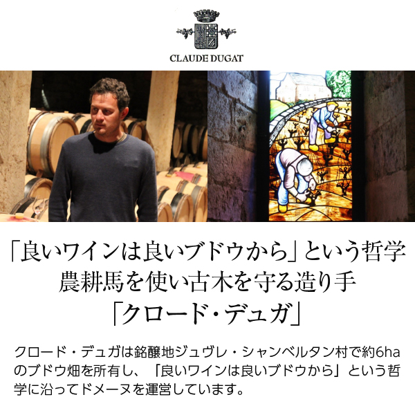 赤ワイン フランス クロード デュガ ブルゴーニュ ルージュ 2022 750ml_1