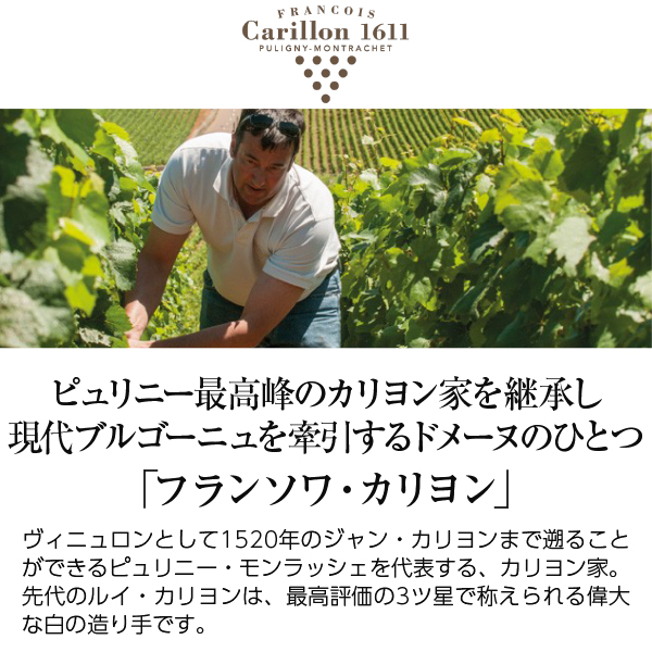 白ワイン フランス ブルゴーニュ フランソワ カリヨン ピュリニー モンラッシェ クロ デュ ヴュー シャトー 2021 750ml_1