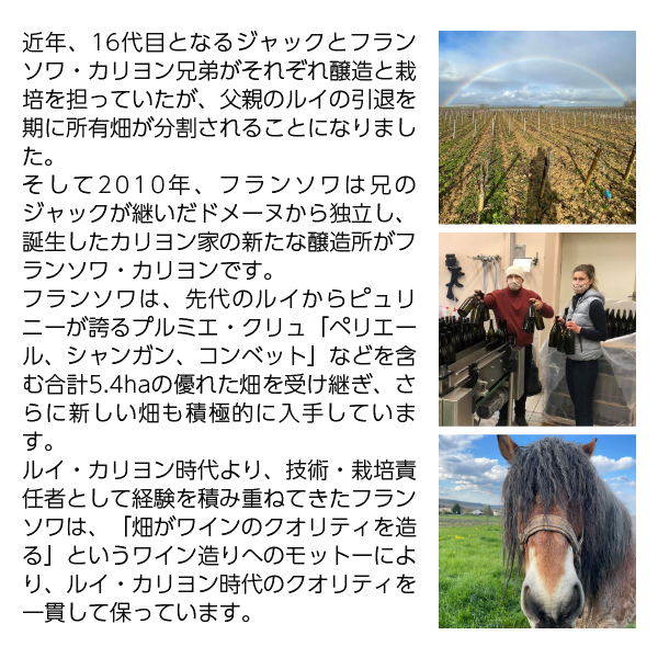 白ワイン フランス ブルゴーニュ フランソワ カリヨン ピュリニー モンラッシェ クロ デュ ヴュー シャトー 2021 750ml_2