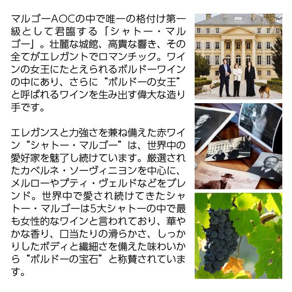 送料無料 白ワイン フランス ボルドー パヴィヨン ブラン デュ シャトー マルゴー 2021 750ml 格付け第1級_2
