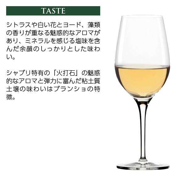 白ワイン フランス ブルゴーニュ サミュエル ビロー シャブリ グラン クリュ ブランショ 2022 750ml_9