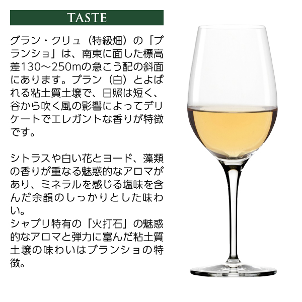 白ワイン フランス ブルゴーニュ サミュエル ビロー シャブリ グラン クリュ ブランショ 2023 750ml_9