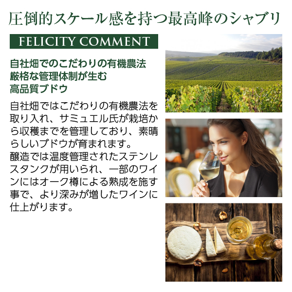 白ワイン フランス ブルゴーニュ サミュエル ビロー シャブリ グラン クリュ ブランショ 2023 750ml_8