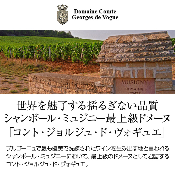 赤ワイン フランス ブルゴーニュ コント ジョルジュ ド ヴォギュエ シャンボール ミュジニー 2020 750ml
