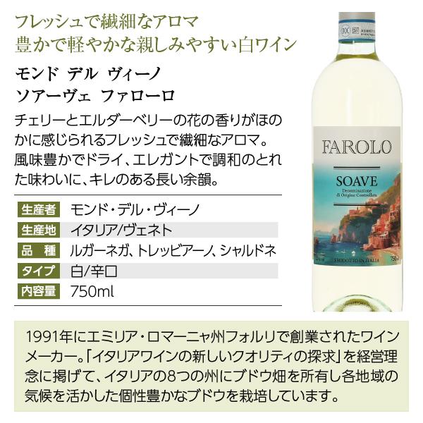 11】白ワインセット 毎日飲みたい！最高コスパワイン バラエティ 白