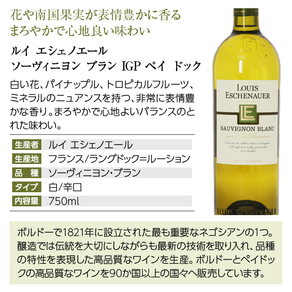 11】白ワインセット 毎日飲みたい！最高コスパワイン バラエティ 白