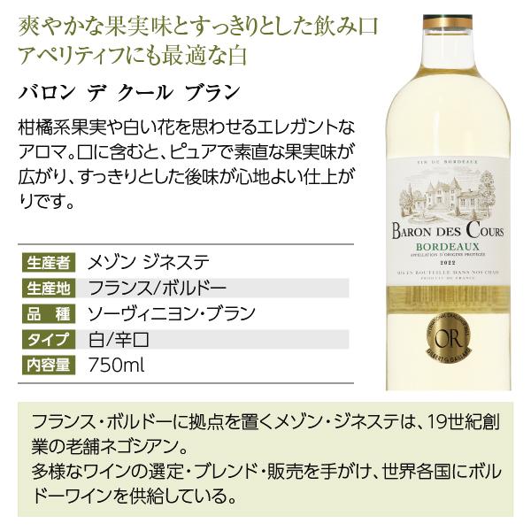 11】白ワインセット 毎日飲みたい！最高コスパワイン バラエティ 白