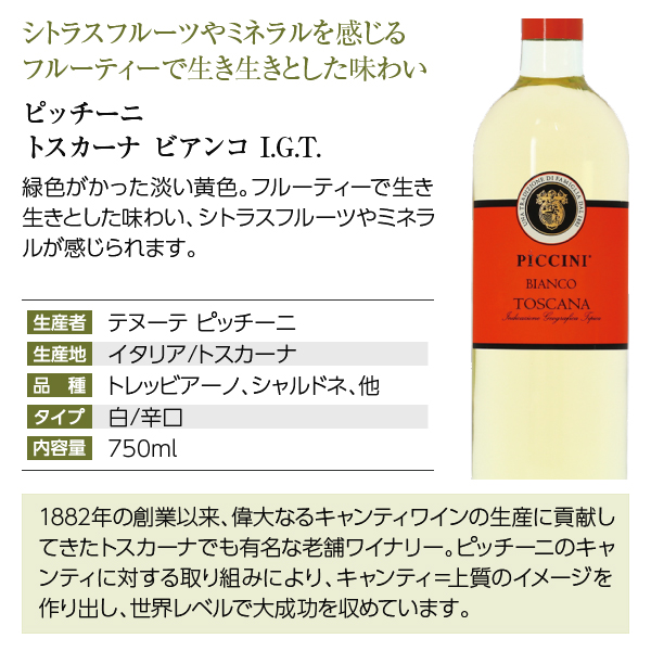 11】白ワインセット 毎日飲みたい！最高コスパワイン バラエティ 白