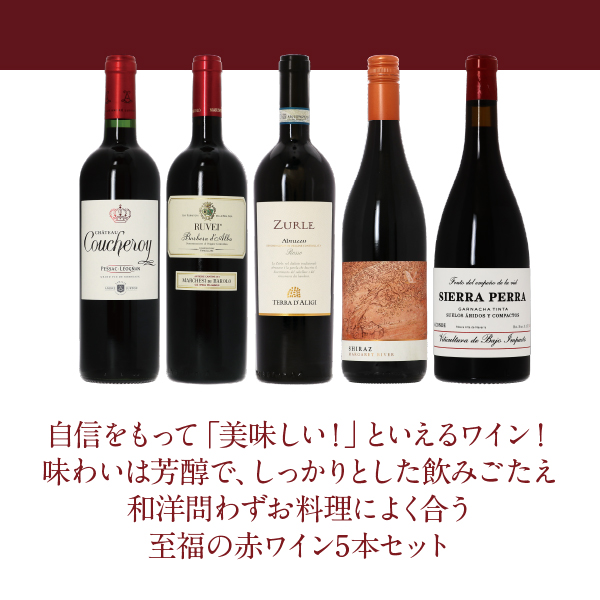 【9】赤ワインセット 至福の赤ワイン 赤ワイン 5本セット 第21弾 750ml×5 送料無料 包装不可 飲み比べ ワインセット_2