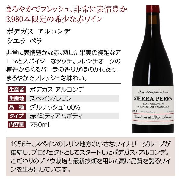 【9】赤ワインセット 至福の赤ワイン 赤ワイン 5本セット 第21弾 750ml×5 送料無料 包装不可 飲み比べ ワインセット_5