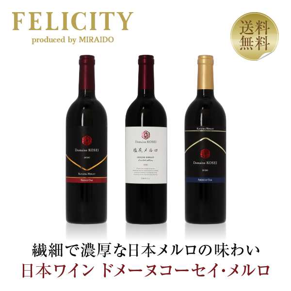 送料無料 赤ワインセット ドメーヌ コーセイ 塩尻・片丘メルロ 3本セット 750ml×3 包装不可 飲み比べ ワインセット