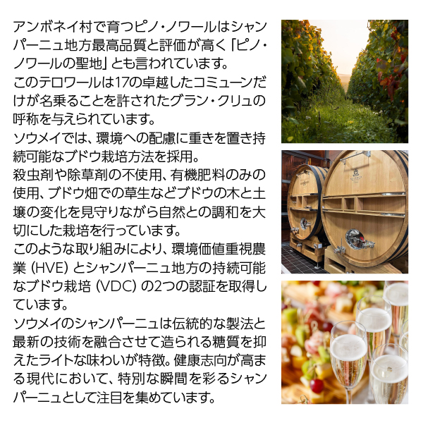 ソウメイ シャンパン ロゼ レオポルディーヌ 楽天市場】レオポルディーヌ ソウメイ ロゼ 正規 750ml