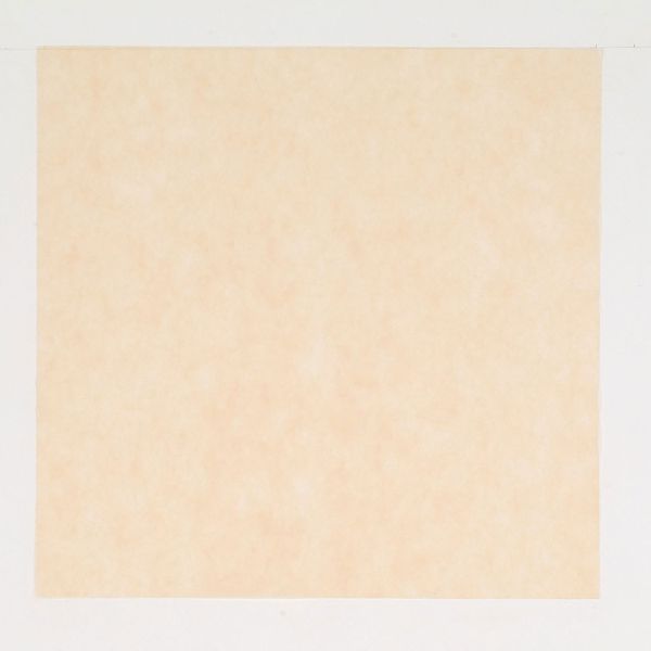 風呂敷 パステルカラー ベージュ 66×66cm 00446560【1600枚】の通販は