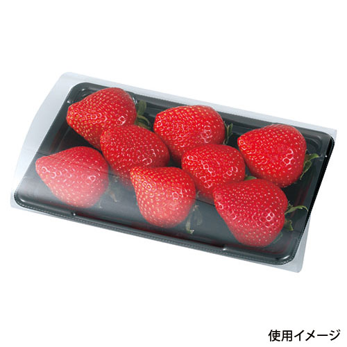 【2000枚】いちご 苺 パック トレー 300g用パック いちごトレー・いちごパック - 有限会社 丸二物産