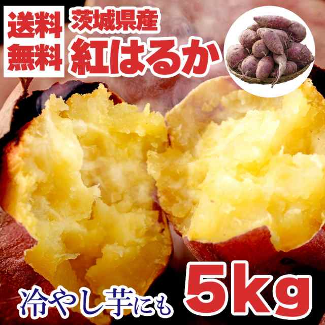 5kg さつまいも 紅はるか 茨城産 5kg S-Mサイズ 国産 まとめ買い