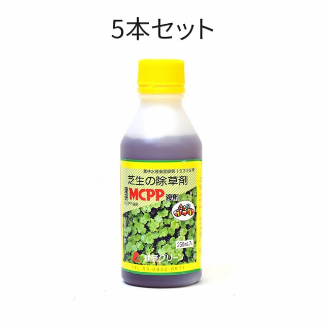 (5本セット)理研グリーン 芝生用除草剤 MCPP液剤 250ml