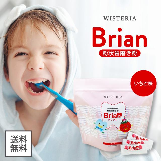 ブリアン 歯磨き粉1袋売り可 歯磨き粉 いちご味 公式通販 Brian