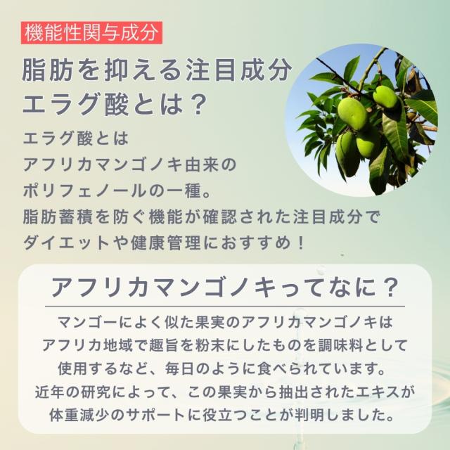 キラーバーナー2 KILLER BURNER 2 キラーバーナー 45粒 機能性表示食品